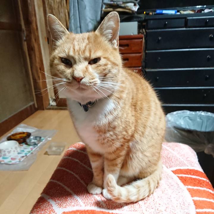 Df00b5ea 60e3 4c6d a293 cadc9e742603 1606420532025