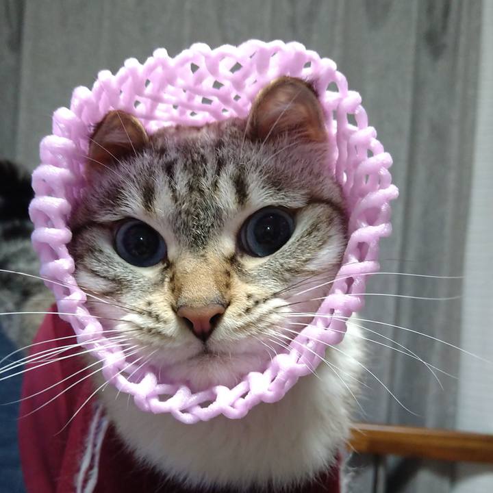 Df00f12d bd18 4a7d 8221 6218d4f419ef 1688556783932