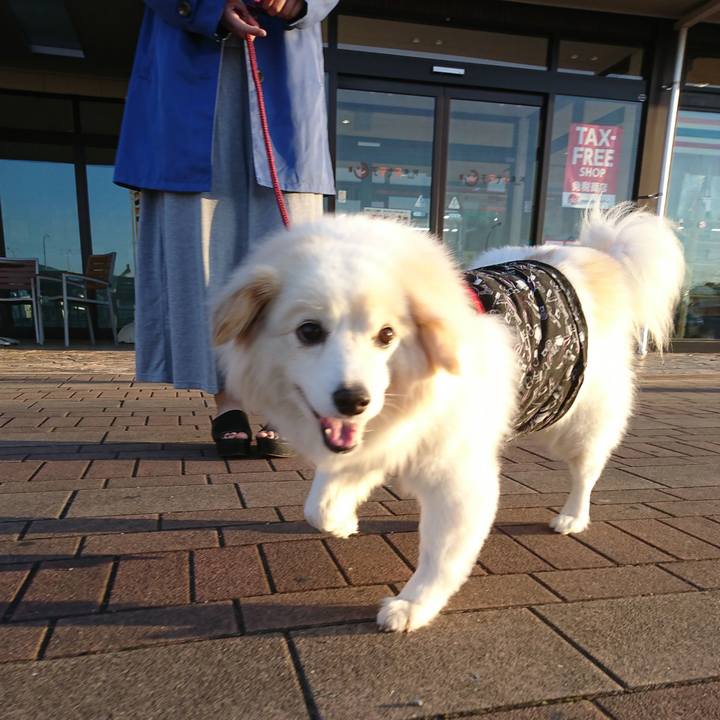 Df00fb07 d919 4b16 8c4a 1c8ba76904f3 1525388858730