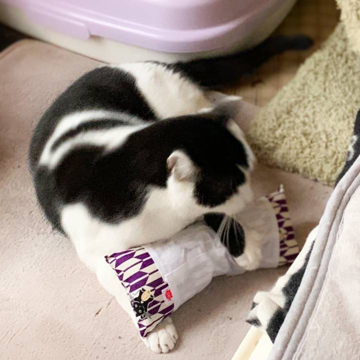 Df01152b 4748 4af6 94d6 c778332dfec2 1581039729909