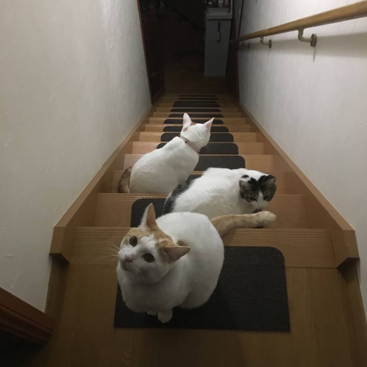 Df012b22 259b 406e a29a 3e374e032f13 1550377198248