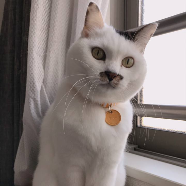 Df014225 e830 4e9a b7ac cbbaad116de2 1576991158049