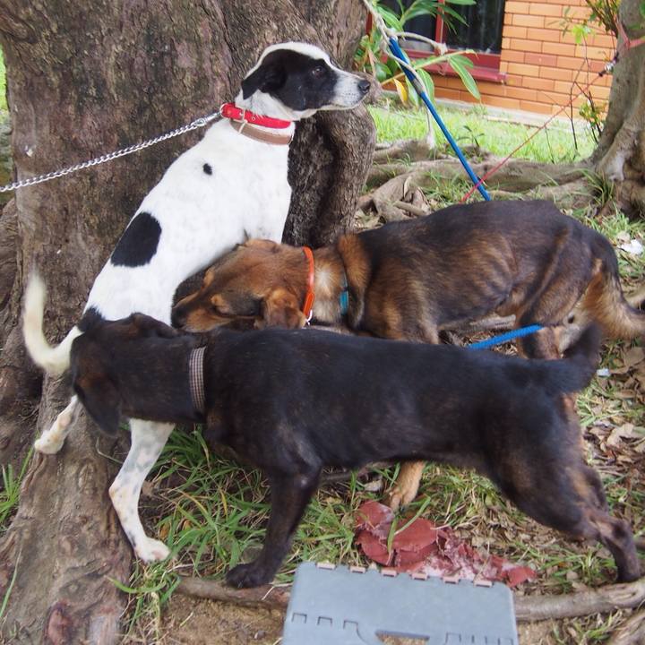 Df014930 30e2 48e3 8129 13c07fe146ee 1510062446576