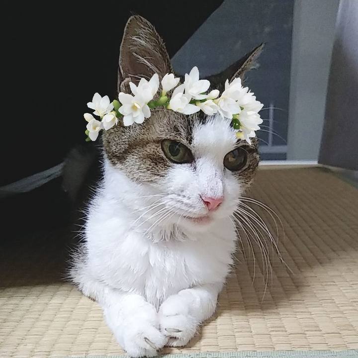 Df01509a bc40 4b5c aeca ccc9e609be23 1565787712008