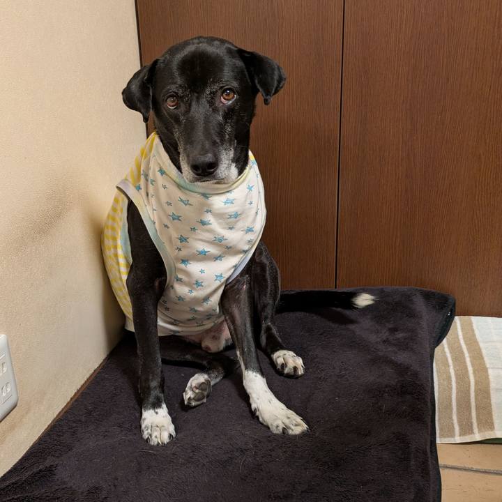 Df016216 a774 4315 90ae 015f900809de 1735915453113