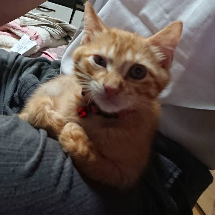 Df01a10a 2d2a 4883 9ded cb150f60d1ff 1631441840279