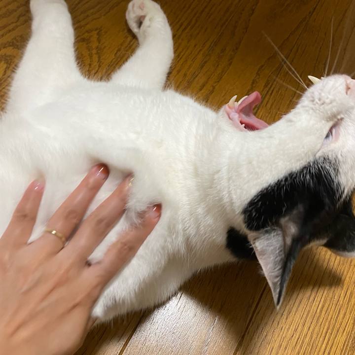 Df01b180 58f9 4add 91a2 572db908f584 1626951450603