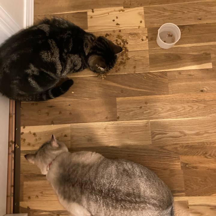 Df01b690 650e 46b9 8d55 dc7fed9de144 1612303928174