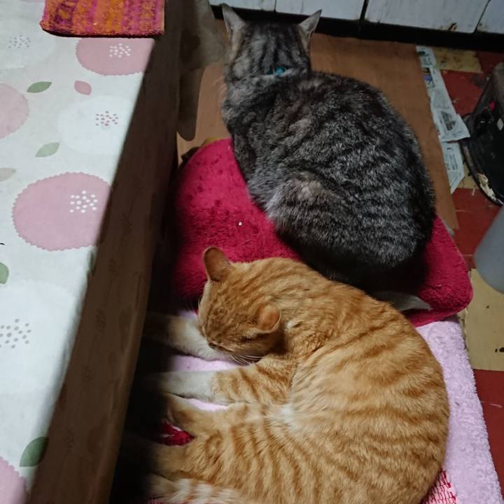 Df020e07 e3ef 4c33 9e36 825e54a9ee8e 1554113357483