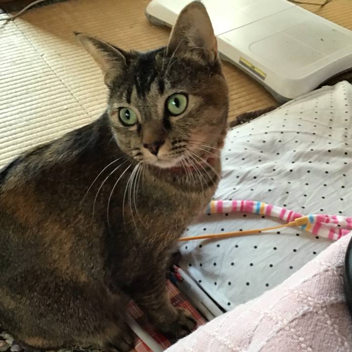 Df02126b aabb 4309 927d f5970e636901 1636851361678