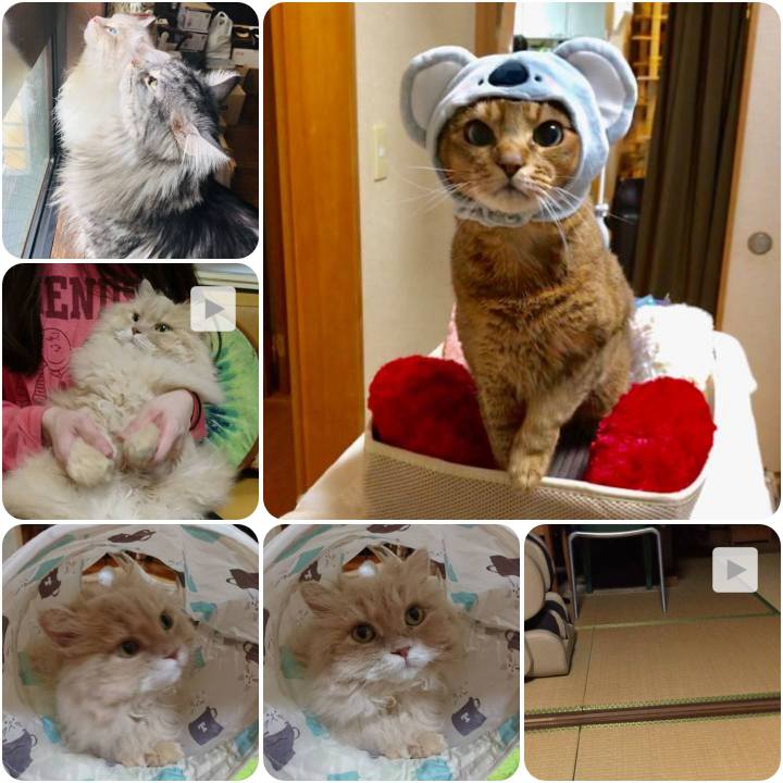 Df025c74 2f50 4b04 878b a770b42d2575 1557541855080