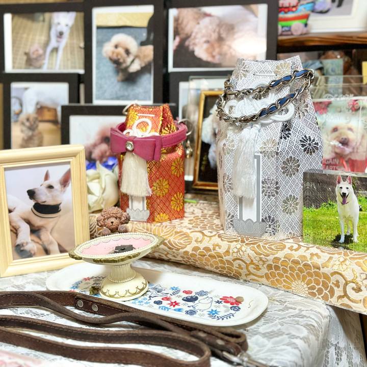 Df026bad 6606 42a2 a785 d6d4d54838d4 1705711760353