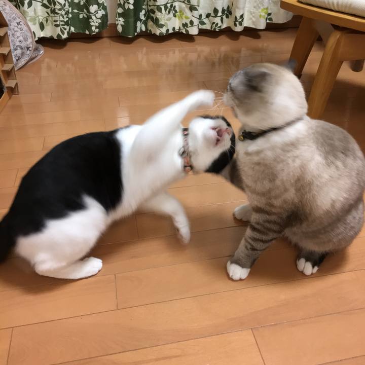 Df02b266 9813 4e0d 8c0d 1d53809139ad 1512784233989