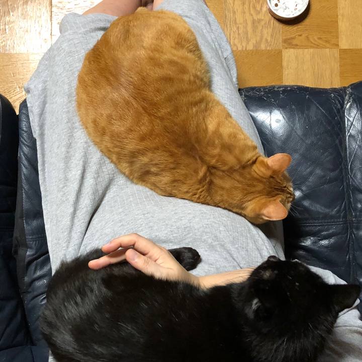 Df02c7ae e04d 4884 82d7 fcc4e232fe88 1569502091298