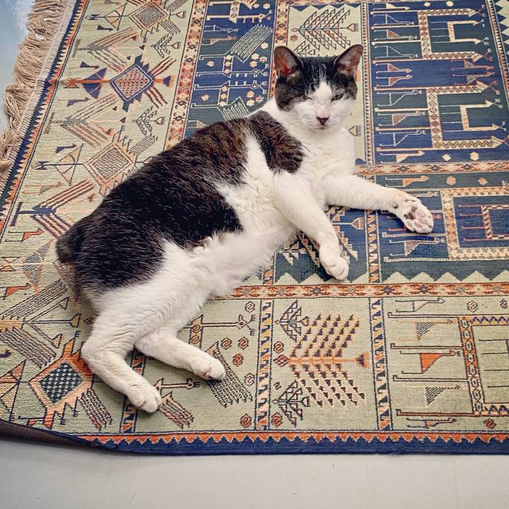 Df0342ca 32ff 4b11 91c8 b499e1785d38 1623131553530