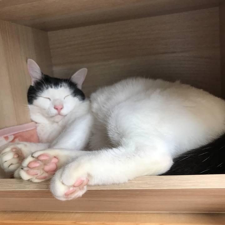 Df036b82 87b1 49e0 ad85 1ac5a29a6cbe 1539227688886