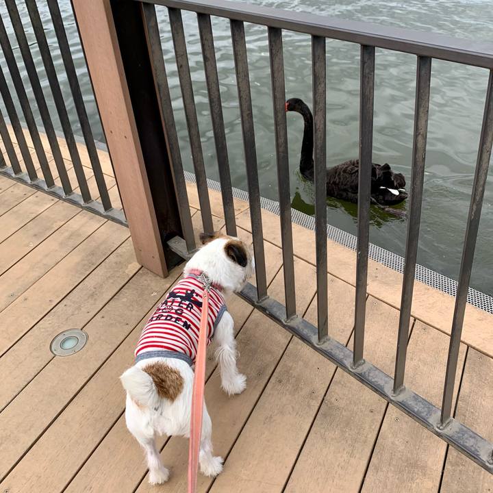 Df039009 03a4 4594 9324 fd08c76ffcf3 1684678139215