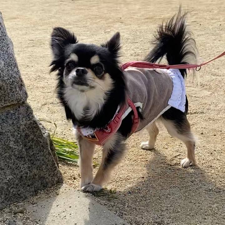 Df03f968 8b05 4090 bb3e 1f866976a939 1613274618378