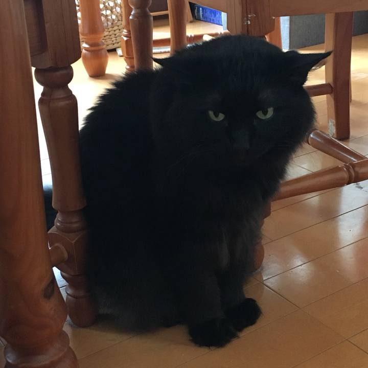 Df0405b2 4e36 4fcb 997b bd2ea356d5e0 1560049265832