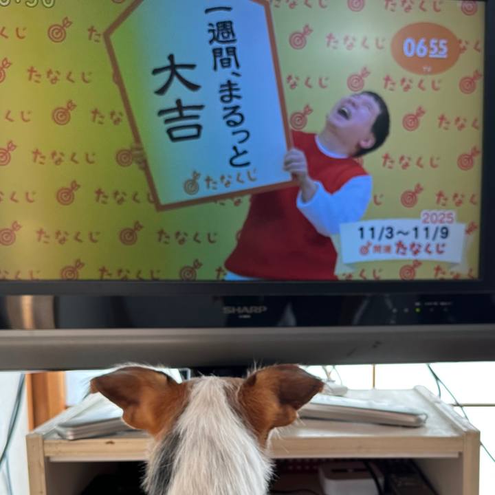 Df0414ca 3cd4 401e ab66 1152c82772d2 1762128165871