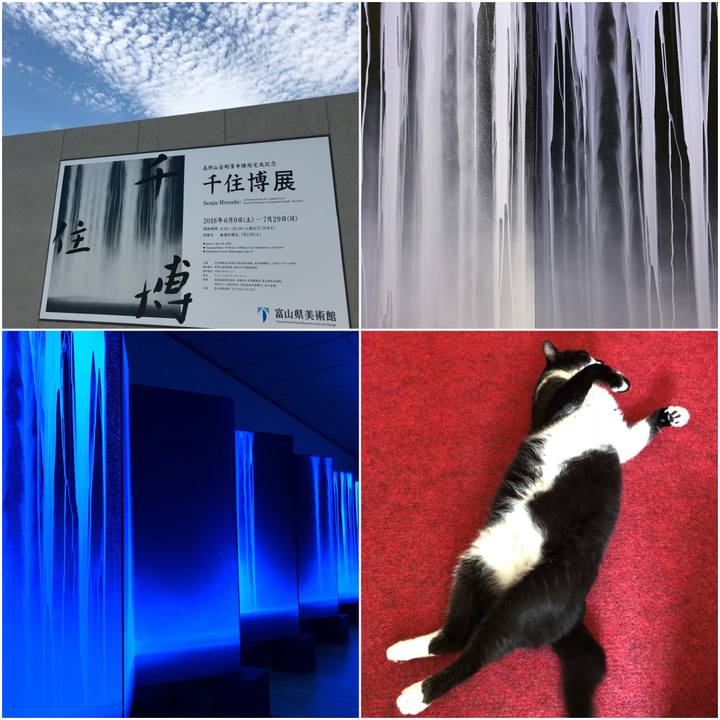 Df045246 12b1 480a 9993 14c4183276e5 1531631492019