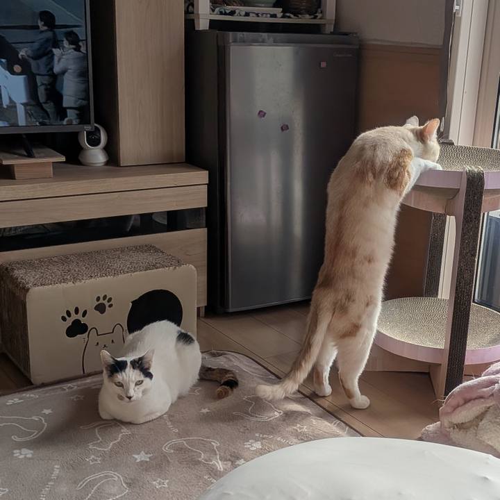 Df046ef1 2f99 4bff 8910 4d527c2e9309 1767230486408