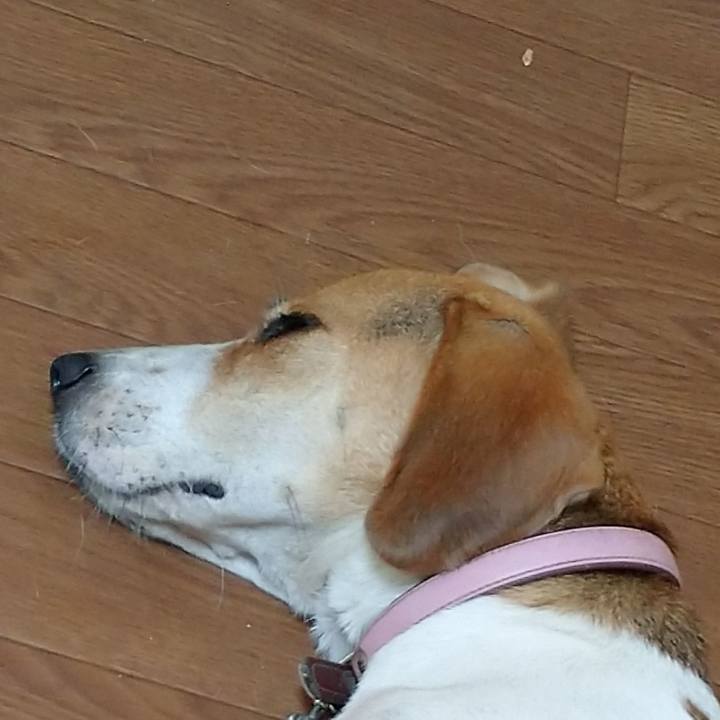 Df04a67f ef5f 4480 b3d6 bccaaf5beee9 1597647133381