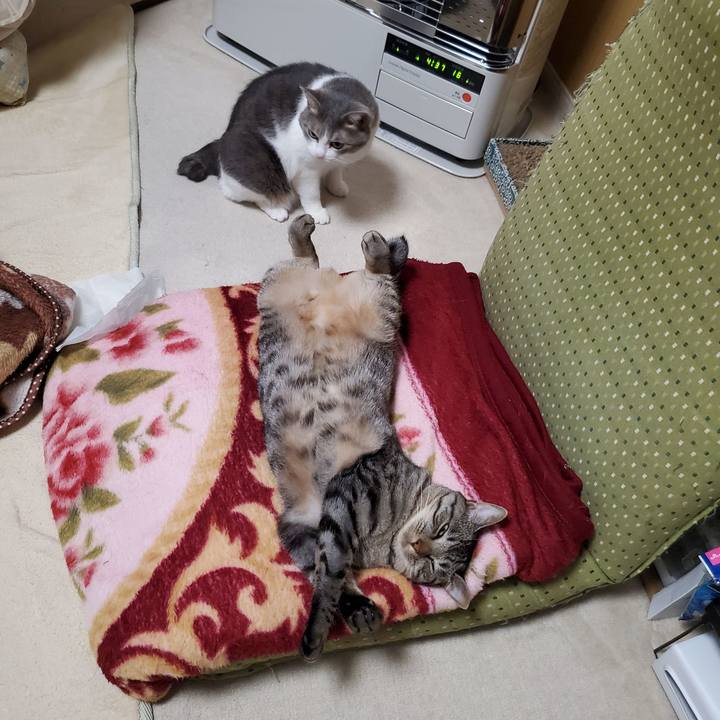 Df04b307 a49c 45eb af82 e7552de975fb 1698676961422