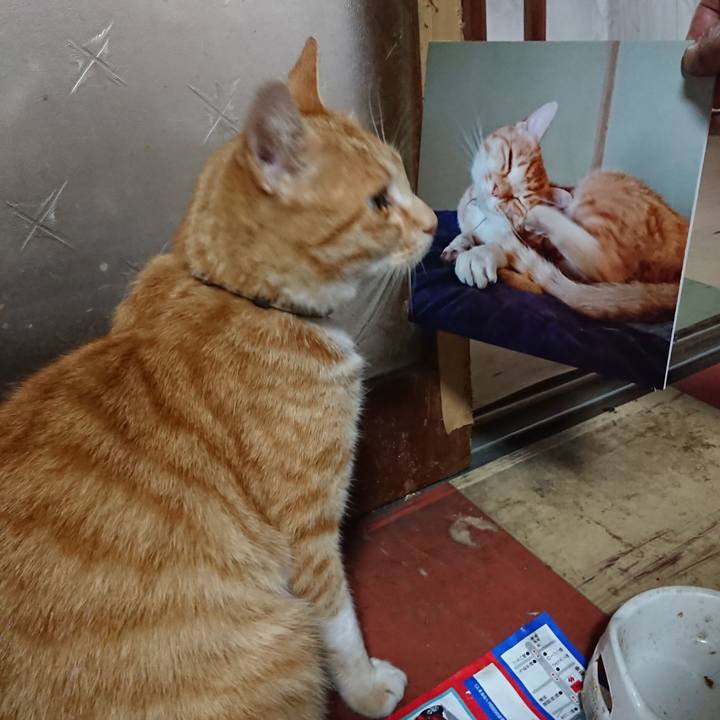 Df04c1f2 358d 49e0 822c a341b195bf32 1592817905081