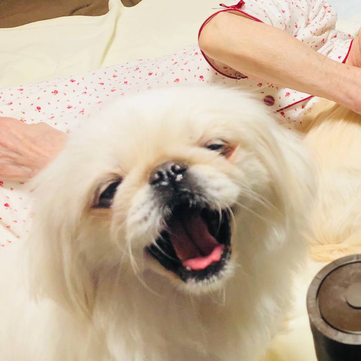 Df04d285 b015 4b6f b9e3 b13e54b881b5 1591405601495