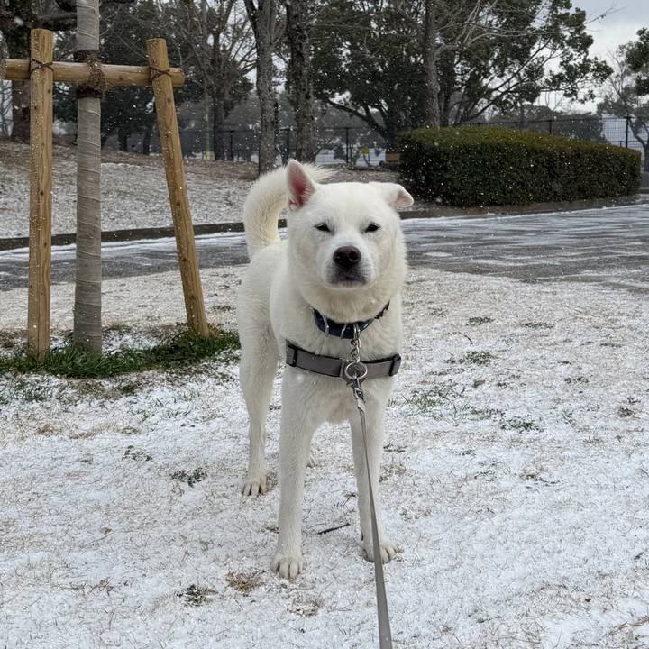 Df05190e dd48 43b6 ba9f 7c1ec6829a23 1770508233925