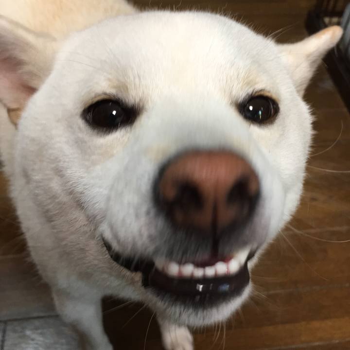 Df052384 394e 4602 901e c0cdd73f3919 1513000829537