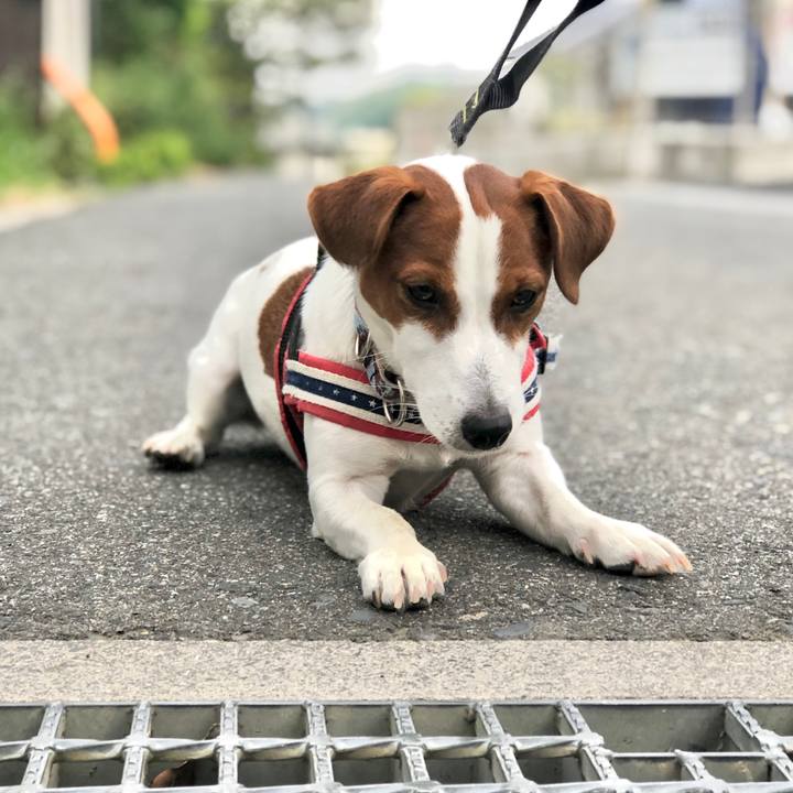 Df052ac5 8f80 41f8 a3b4 af2cb041ce37 1588469493364