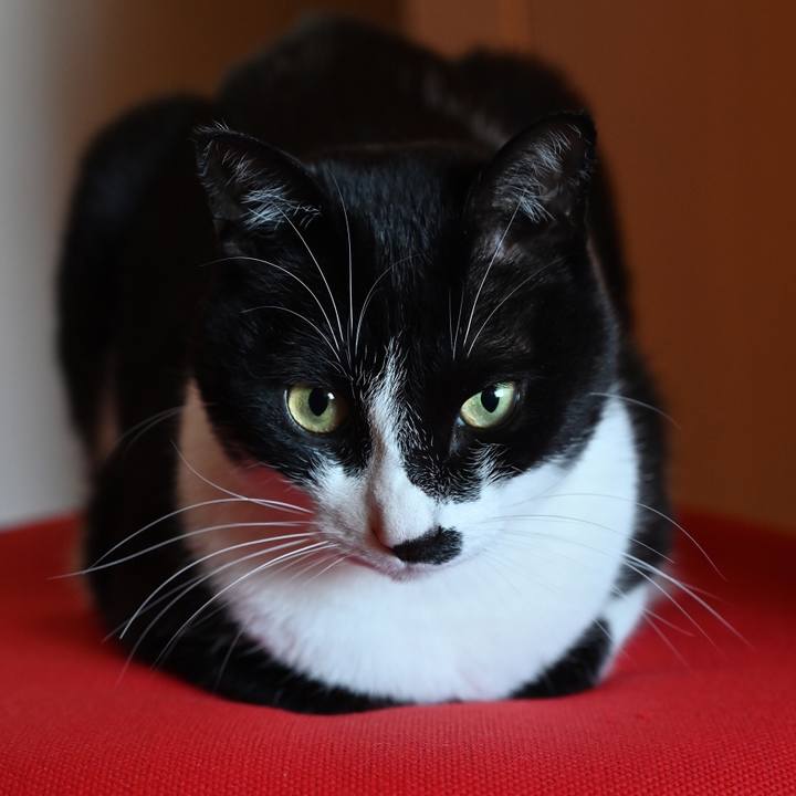 Df0535b4 440a 4928 8bd1 e6faa265a650 1557331956341