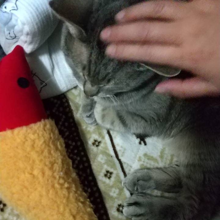 Df054cc2 6cea 443c b4b9 a63feefb3a01 1682337087228