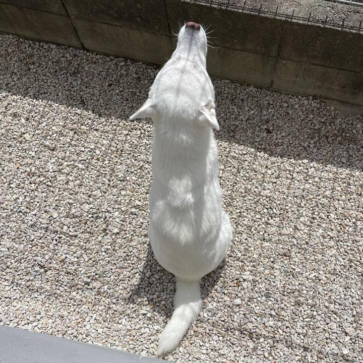 Df0570a4 d234 4fa8 8b6b 2dc24701219d 1622112143769