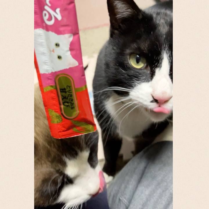 Df05894d aa33 4c5c 819f 3598d0360185 1740129326643