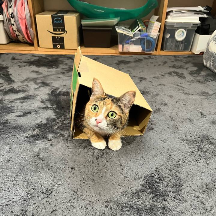 Df05a6ba e2ee 4c7c 945b 25ddec41b162 1640667139156