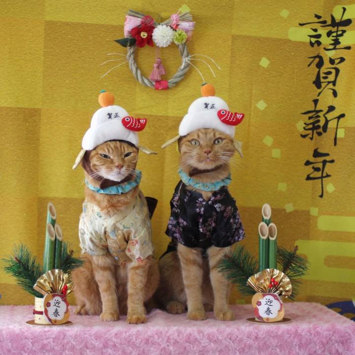 Df0650bb 4c08 4536 98f3 37a32848a5ea 1767252122968