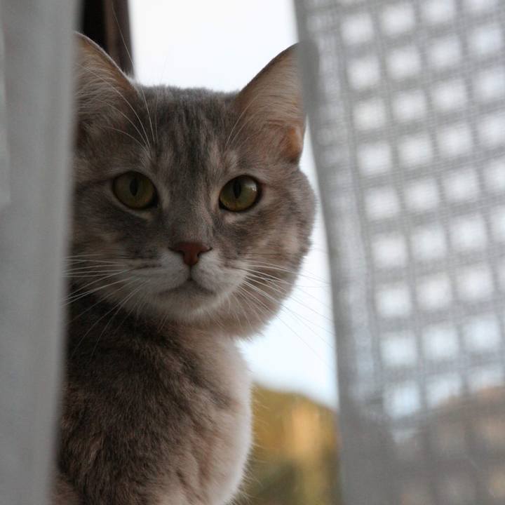 Df065a63 c0fa 4485 9aaf 71970046edc2 1543129246947