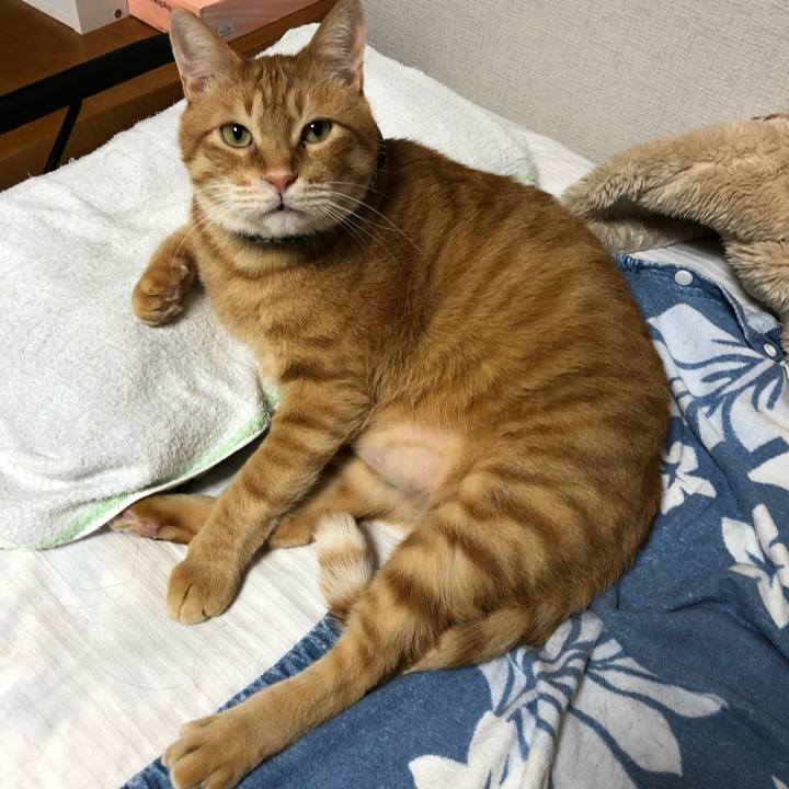 Df065d78 964f 4939 b585 4c16eacea32e 1582060603815