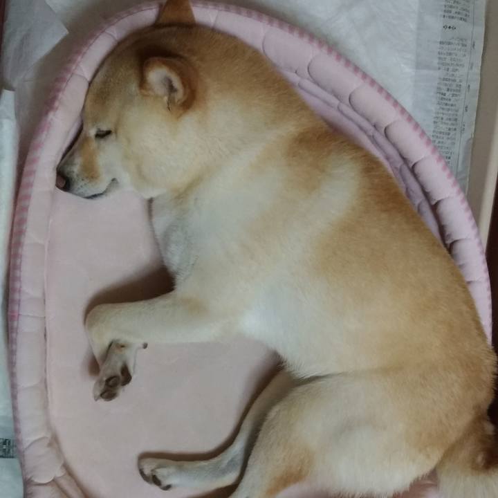 Df066823 2695 489c 914a 0380ff7087fd 1596112169182