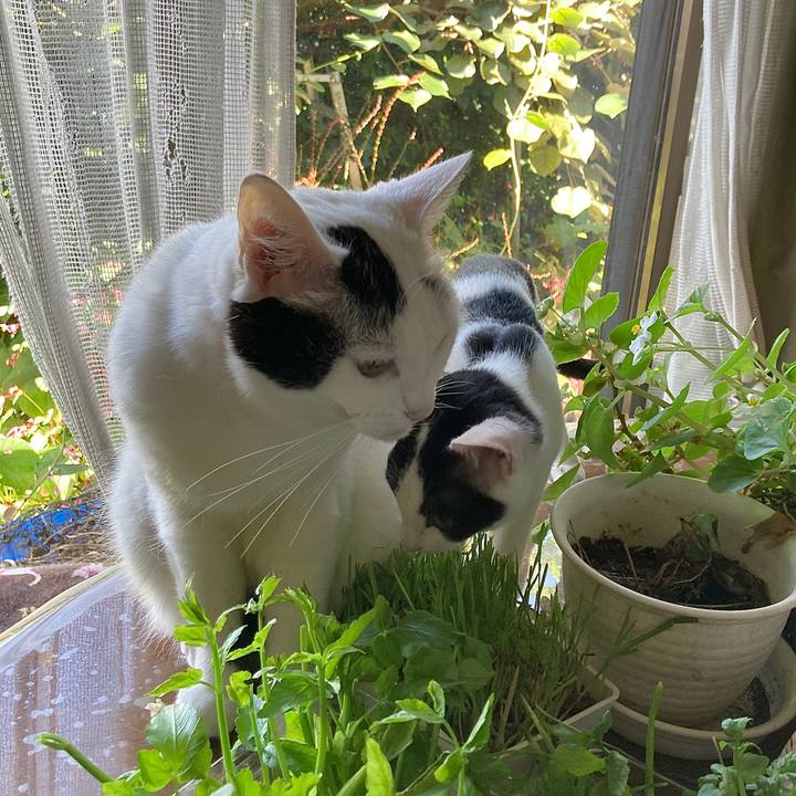 Df068d98 f887 46fb b919 417172115d3a 1631673008194