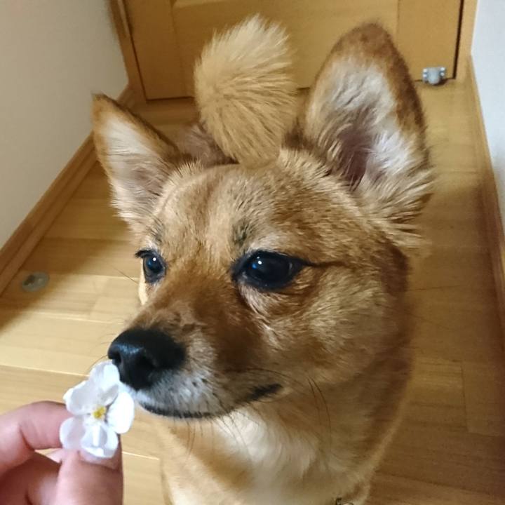 Df069643 2cd7 49d3 bdd2 c8200af0bdc8 1521899072980