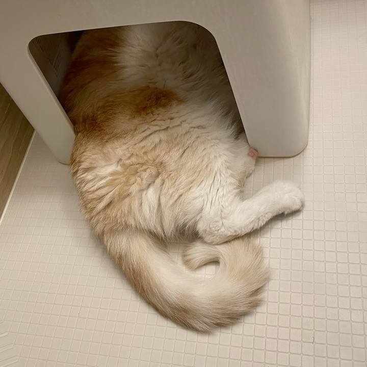 Df06b194 8c59 4d4b 9b2a 55d1cd6dd385 1755951879027