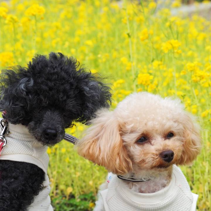 Df06bd09 4f12 4473 9b20 8922d0cf530c 1772179576225