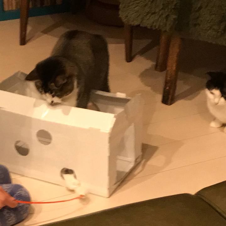 Df06c253 876c 4394 9bff f98fefdcb748 1513671648861