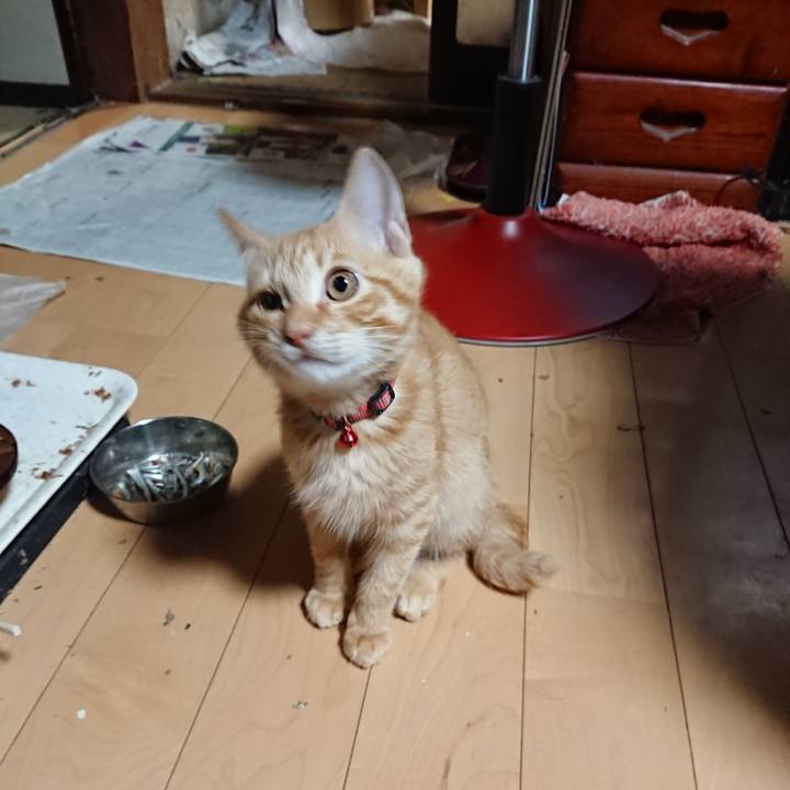 Df06d8d3 c1c5 4683 be32 b51ccfe820d0 1633206709740