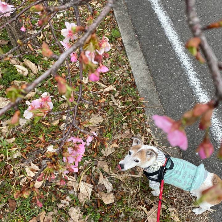 Df070fba 296c 42fd a5d2 69611e520fc3 1614069962853