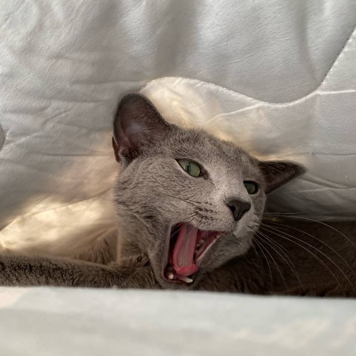 Df077fa6 2577 49e9 849e 4832063858a9 1643767925387